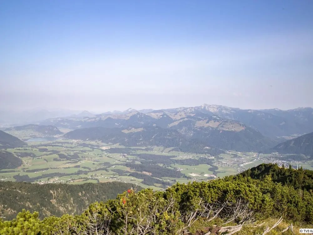 Bild vom Zahmen Kaiser auf den Kaiserwinkl